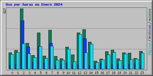 Uso por horas en Enero 2024