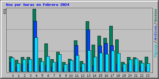 Uso por horas en Febrero 2024