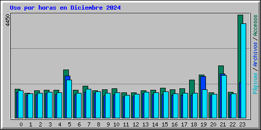 Uso por horas en Diciembre 2024
