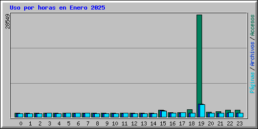 Uso por horas en Enero 2025
