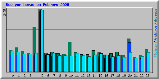 Uso por horas en Febrero 2025